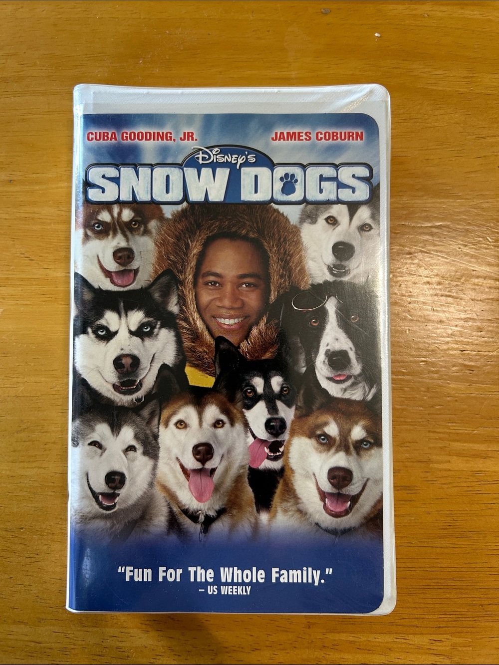 Disney Snow Dogs Dog Toy Cover Art — Blue White Brown